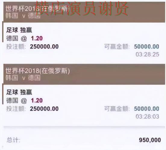 解析世界杯买球平台：从官网直达到直播观看全流程解析 - 2026世界杯